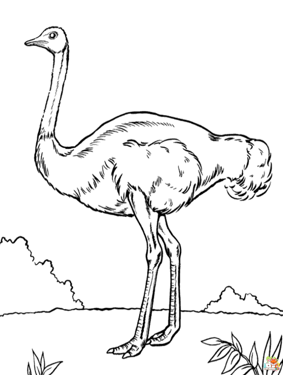 ostrich coloring pages free