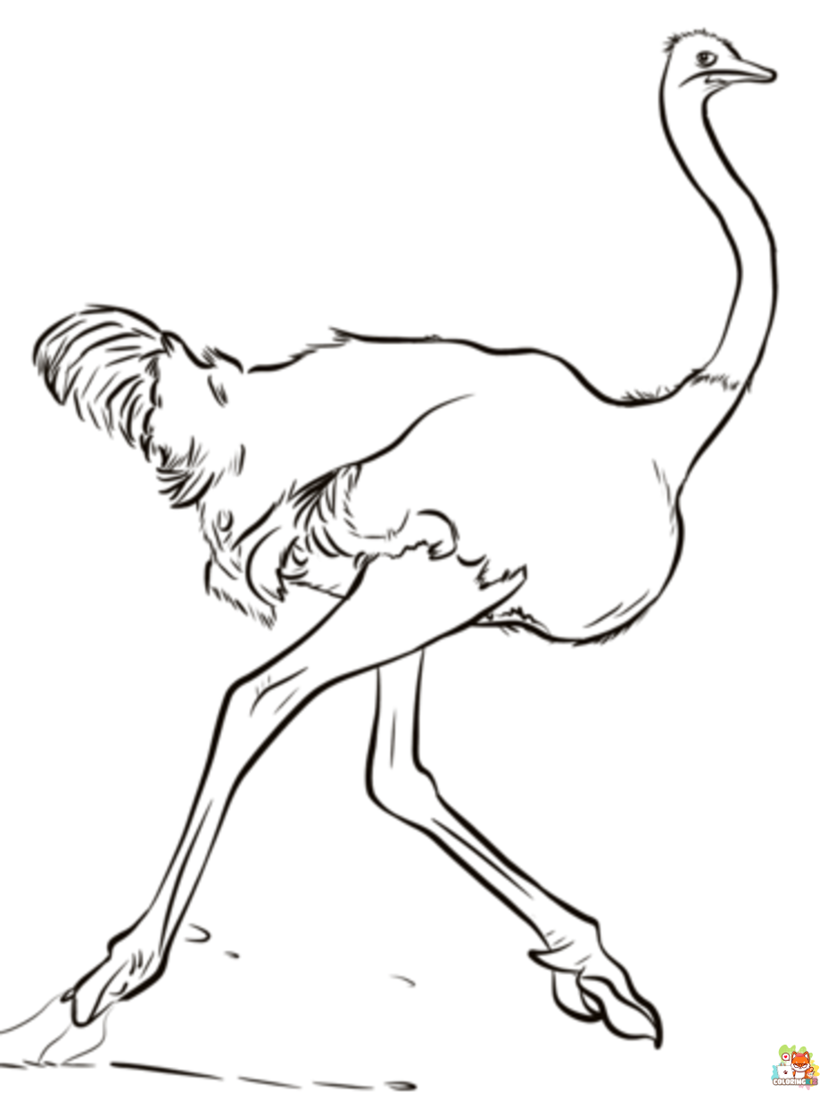 ostrich coloring pages printable free