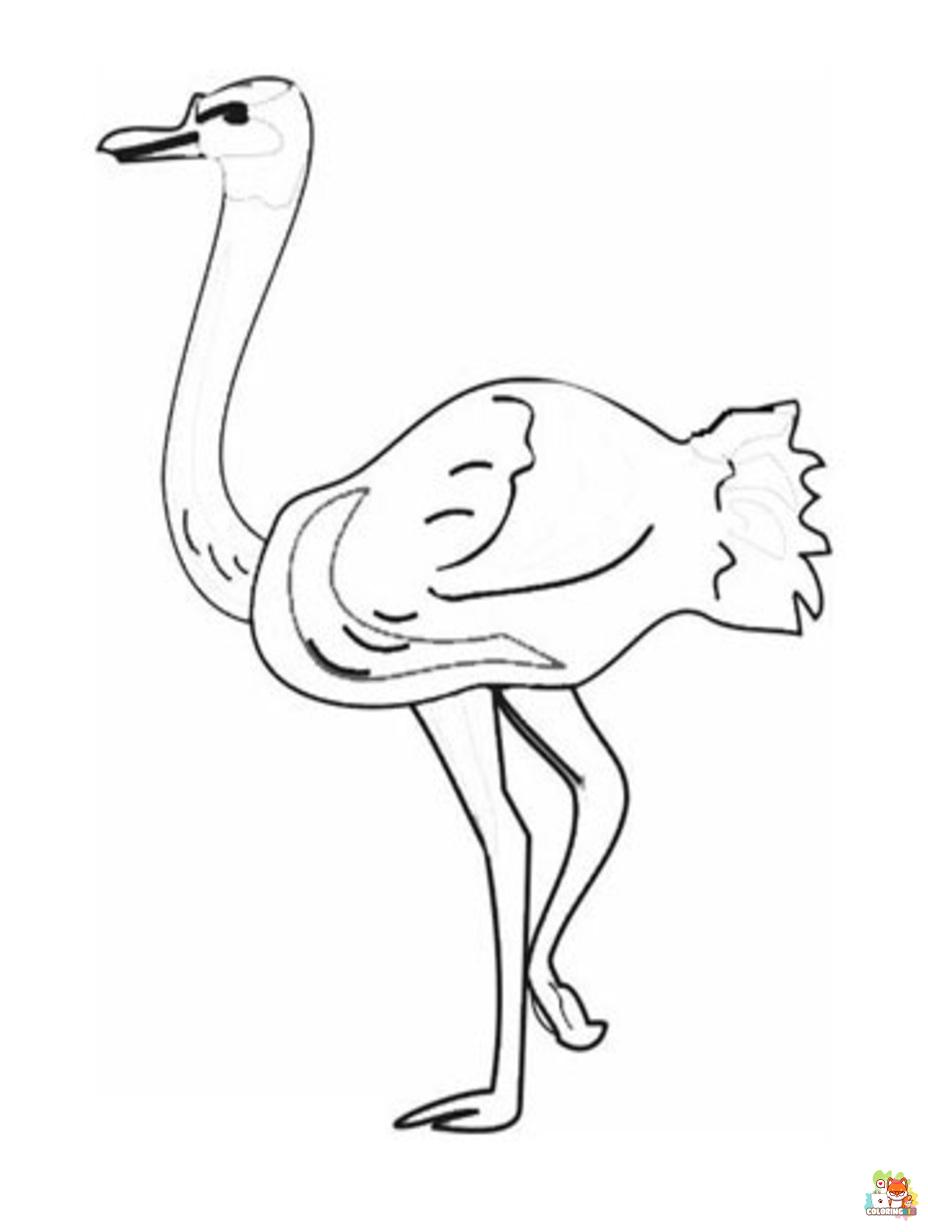 ostrich coloring pages to print