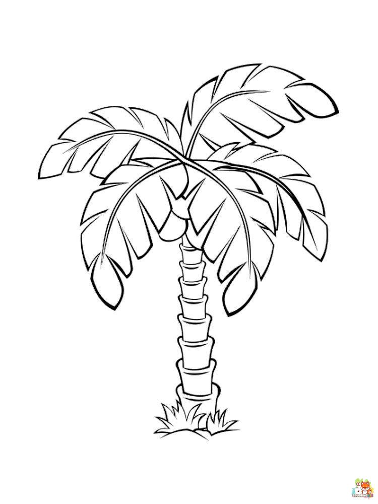 palm tree coloring pages 3