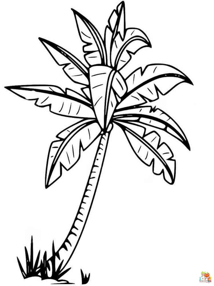 palm tree coloring pages 4