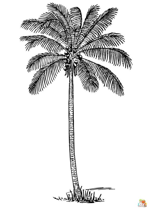 palm tree coloring pages 8