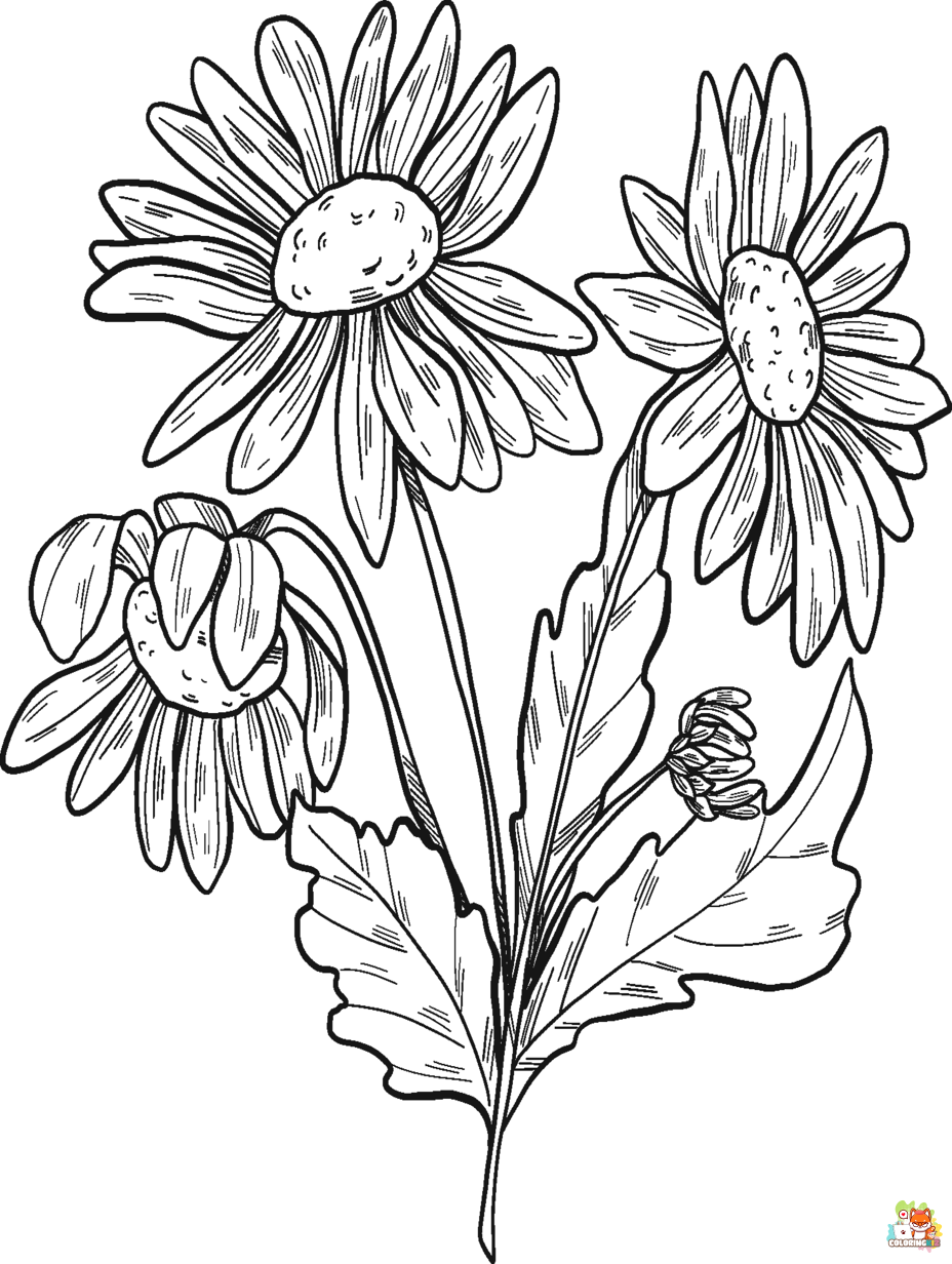 plants coloring pages free