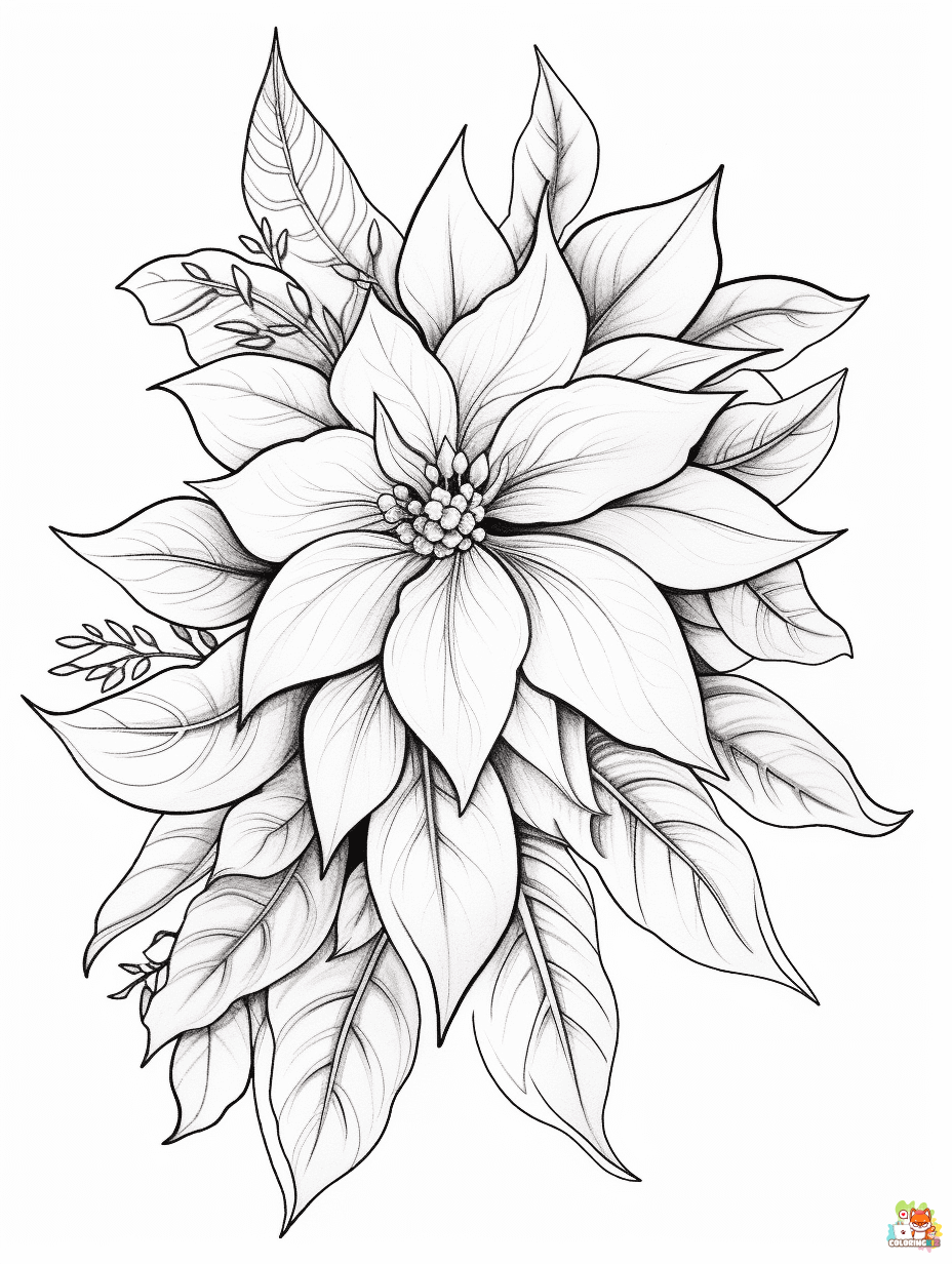 poinsettia coloring pages free