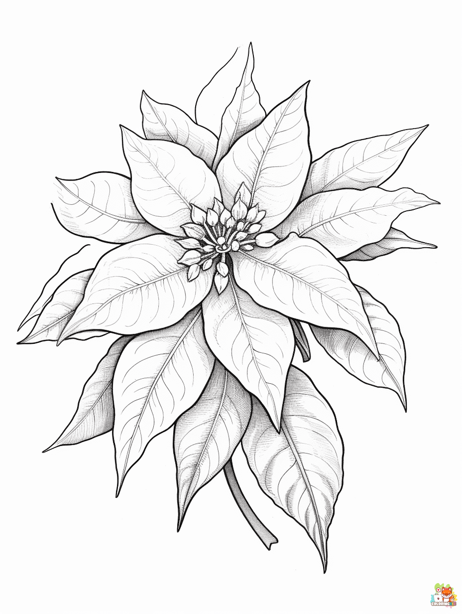 poinsettia coloring pages printable free