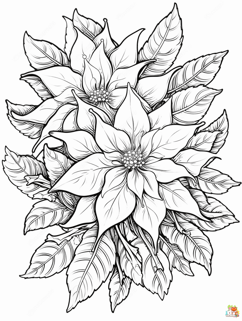 poinsettia coloring pages printable