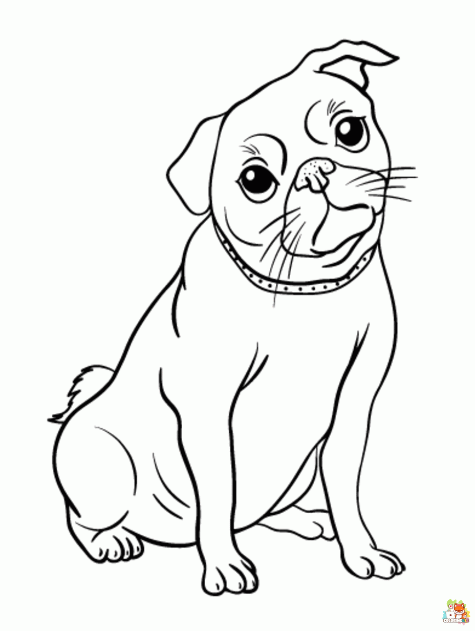 pug coloring pages 1
