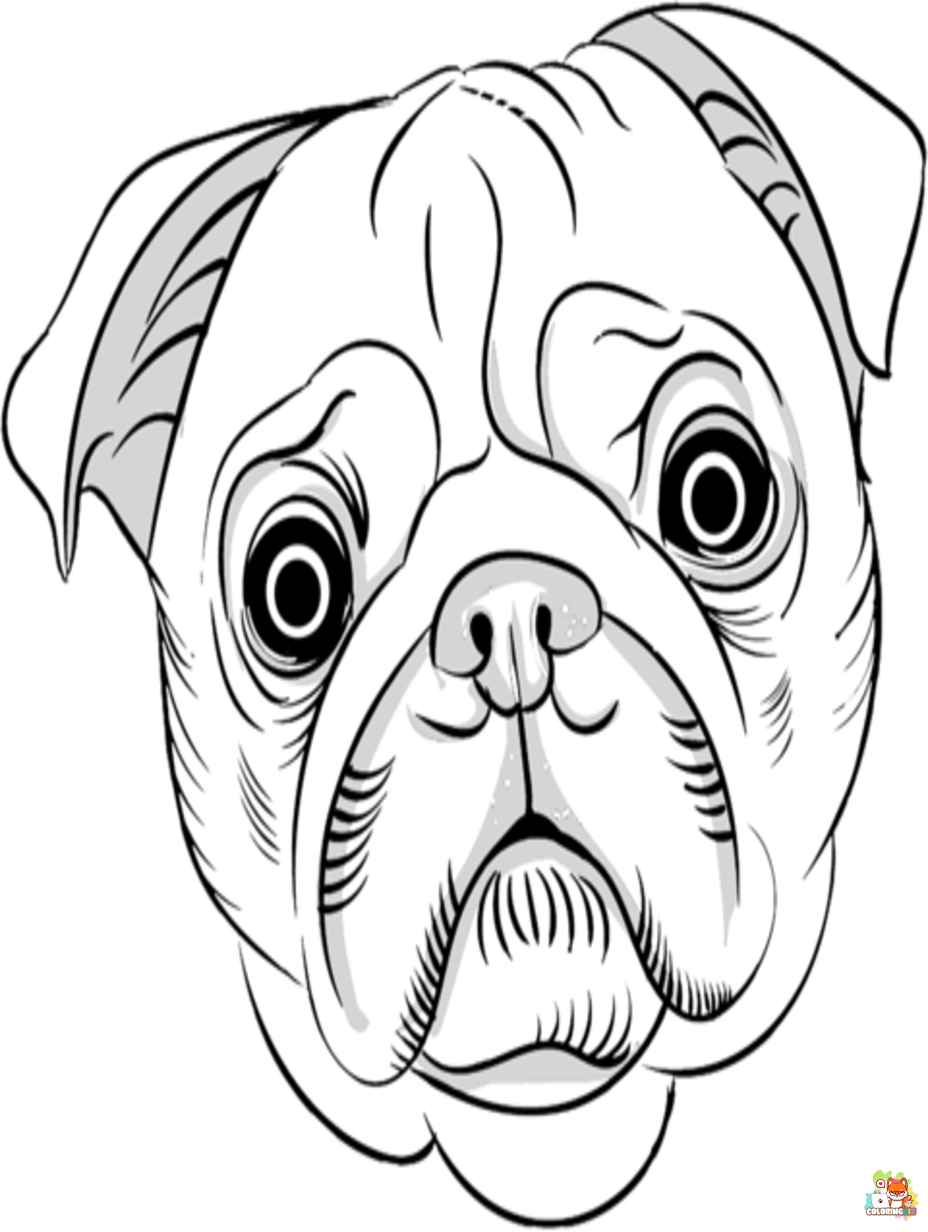 pug coloring pages 4