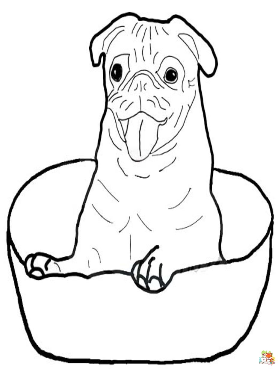 pug coloring pages 5