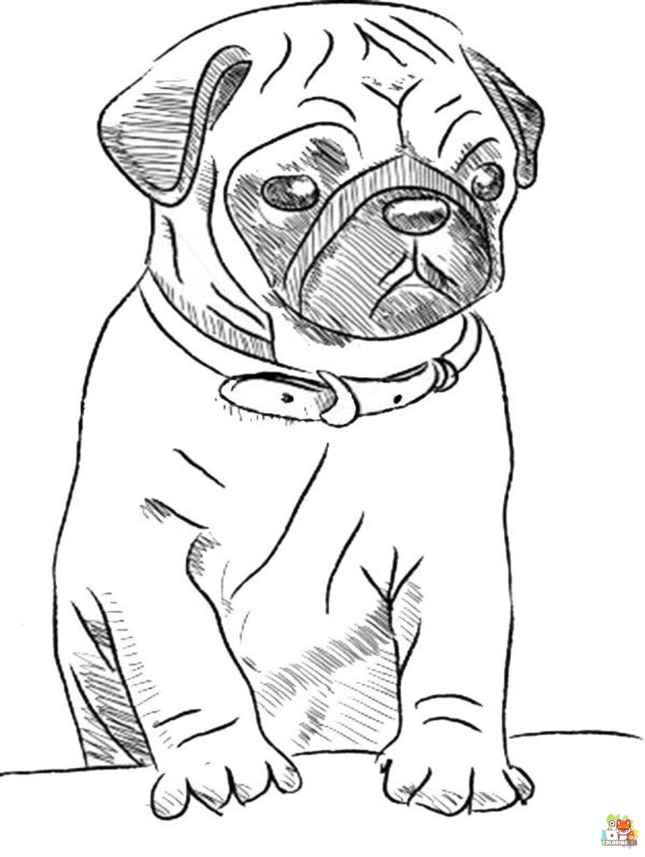 pug coloring pages 6