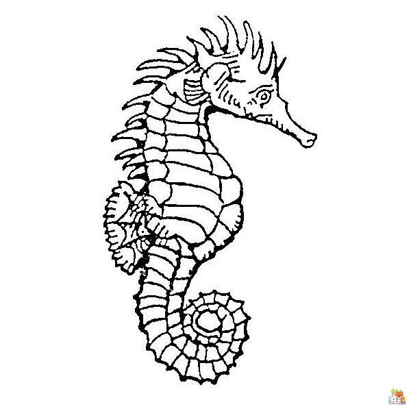 seahorse coloring pages printable