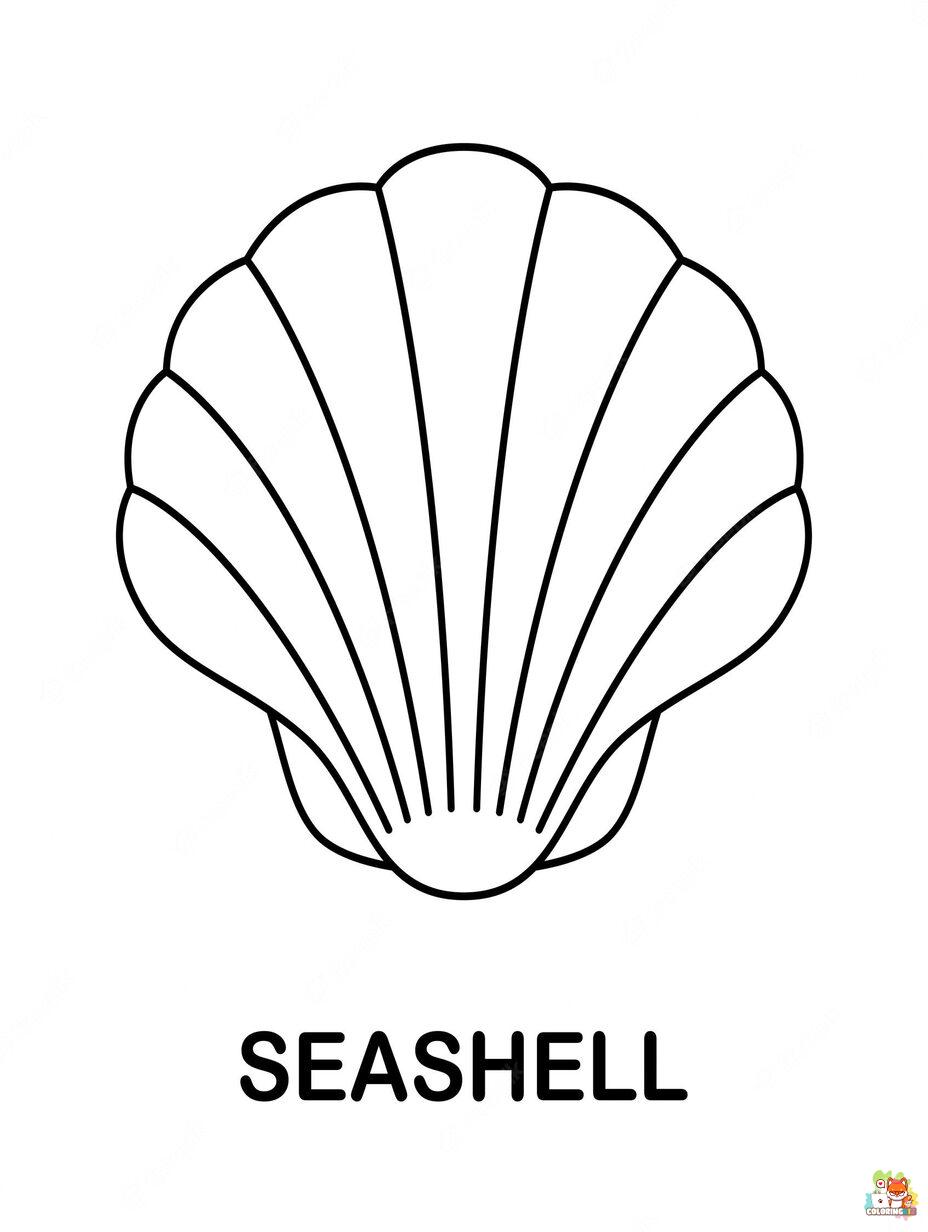 seashell coloring pages 1