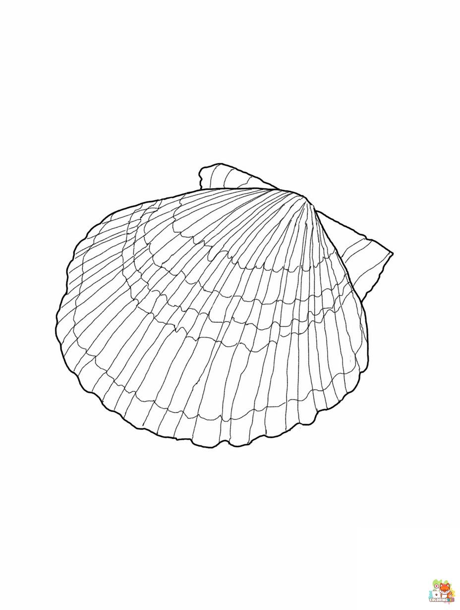 seashell coloring pages 2 1