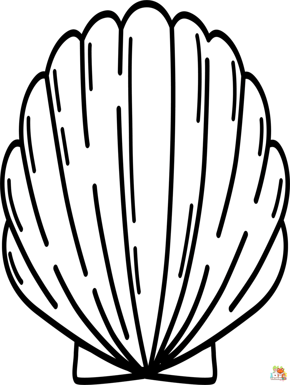 seashell coloring pages free