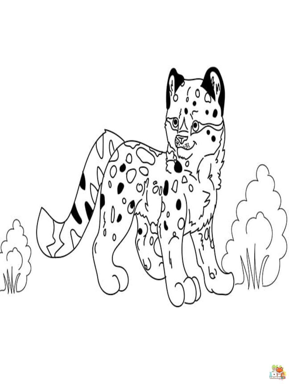 snow leopards coloring pages 1