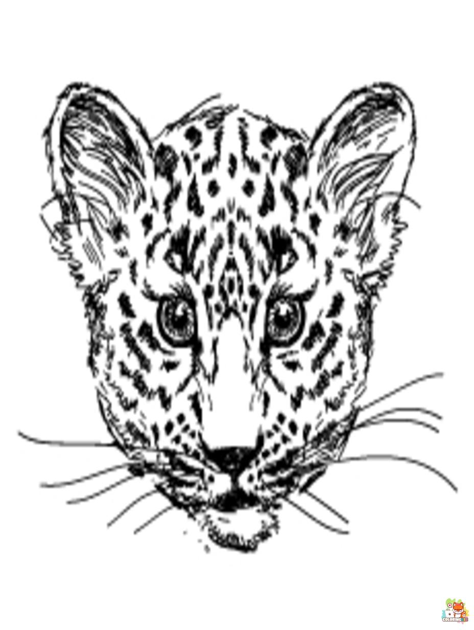 snow leopards coloring pages 3