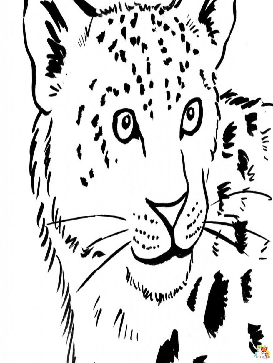 snow leopards coloring pages 6