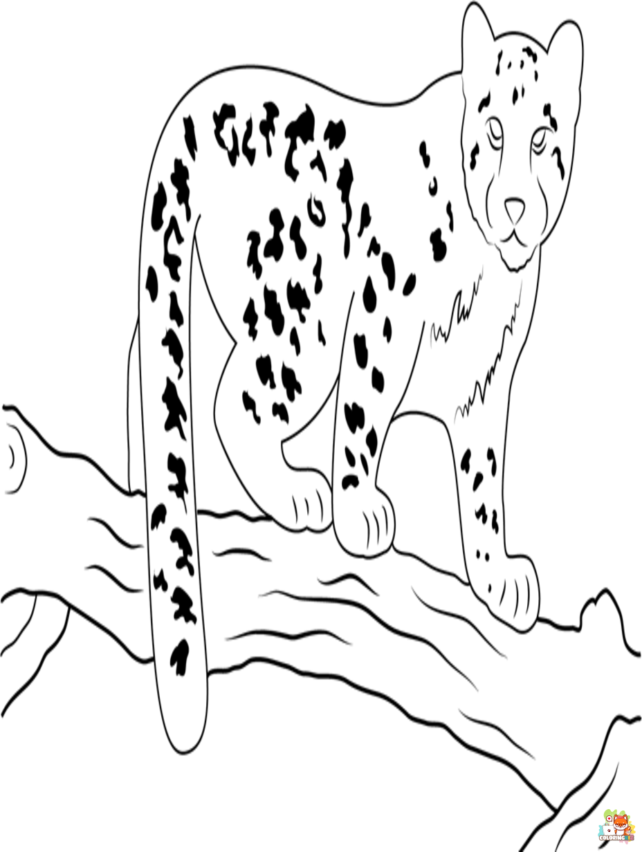 snow leopards coloring pages printable free