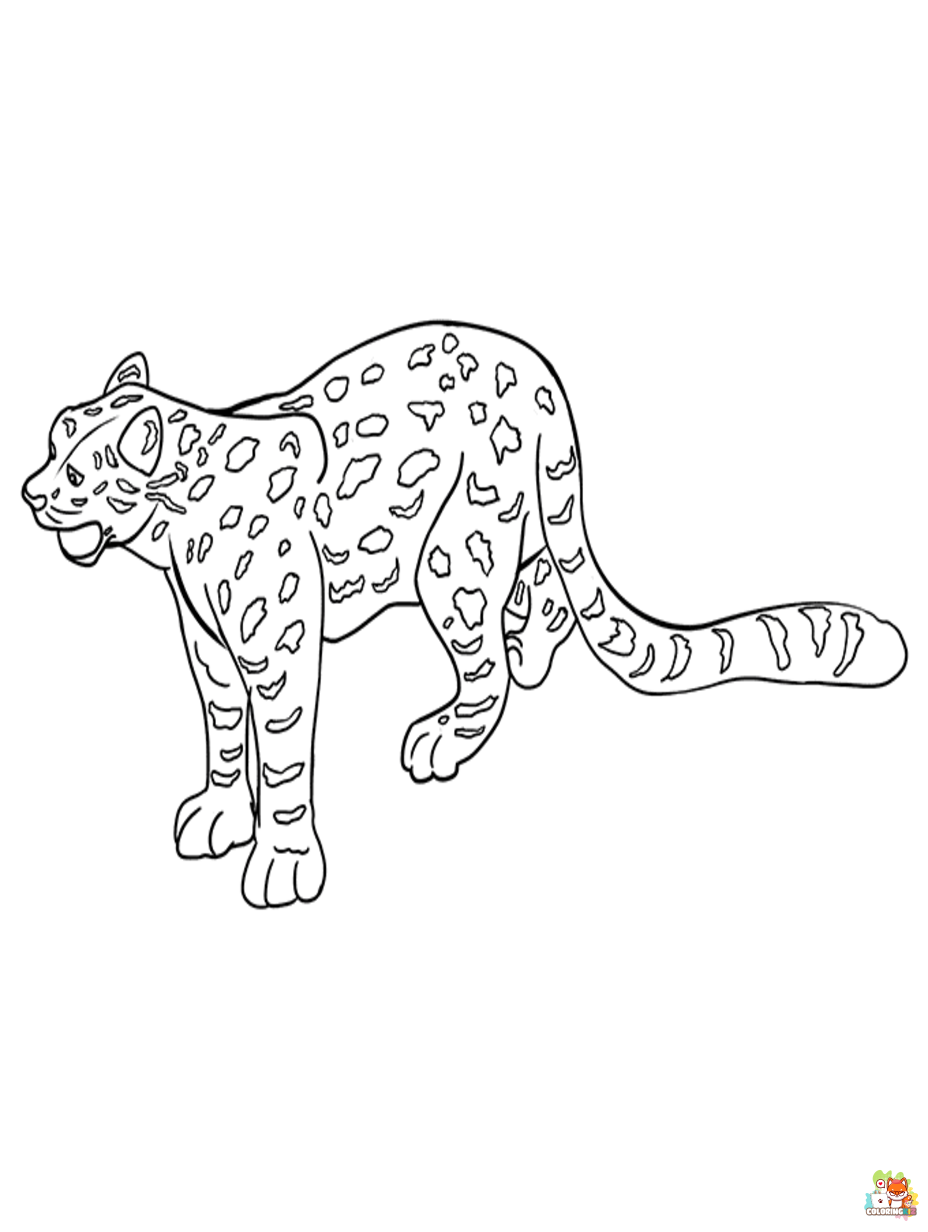snow leopards coloring pages printable