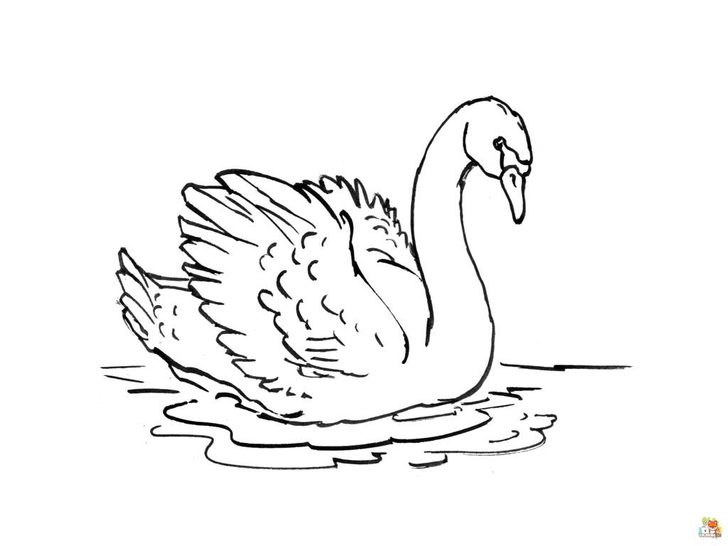 swan coloring pages 8