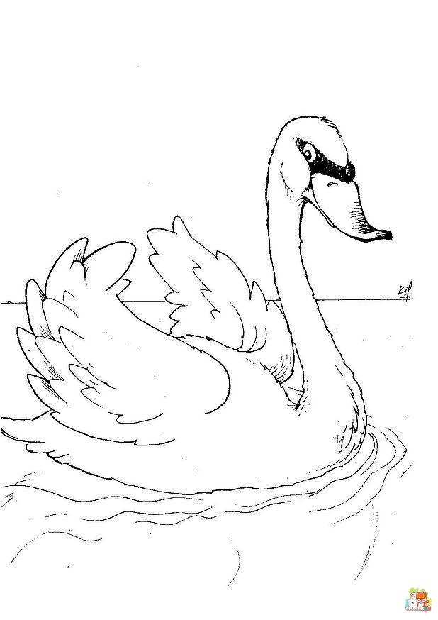 swan coloring pages printable