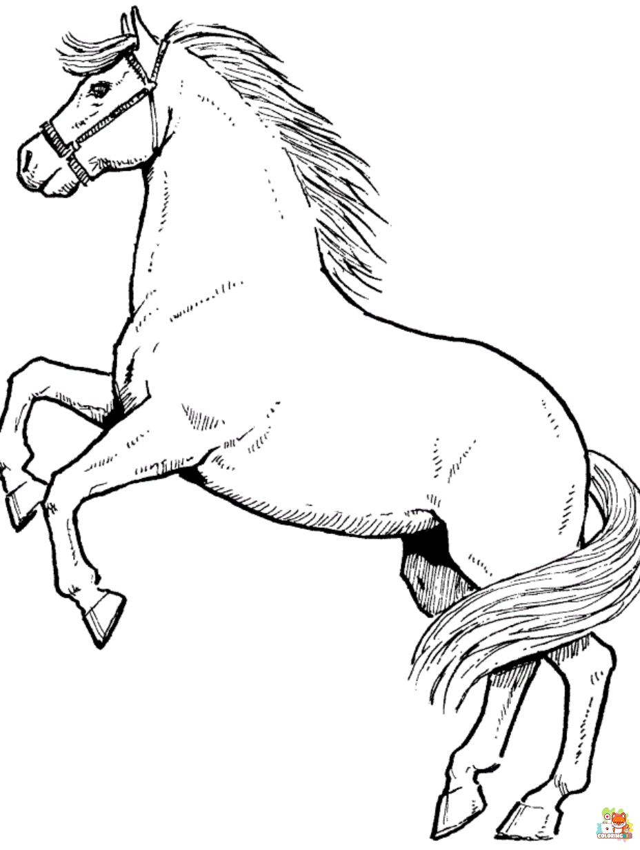 wild horse coloring pages 1