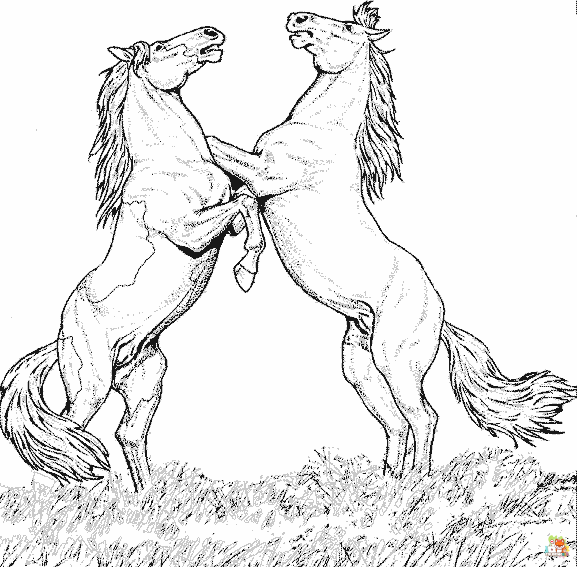 wild horse coloring pages 3