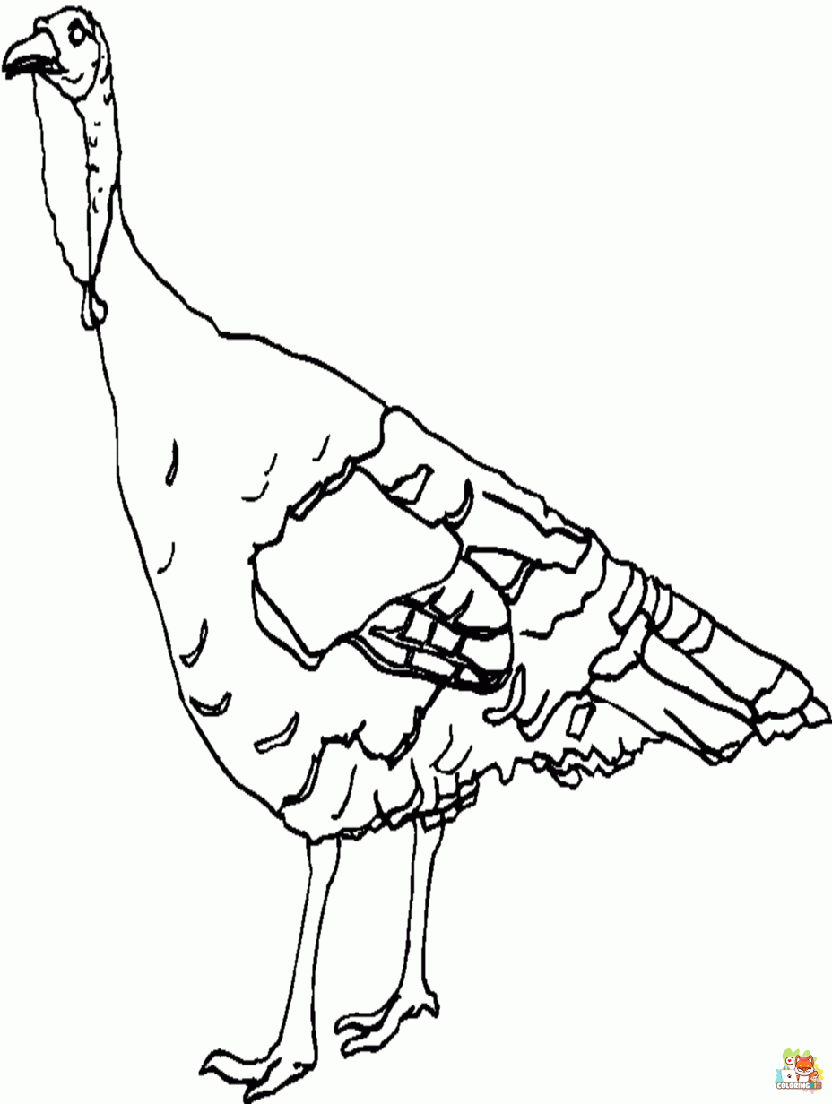 wild turkey coloring pages 2