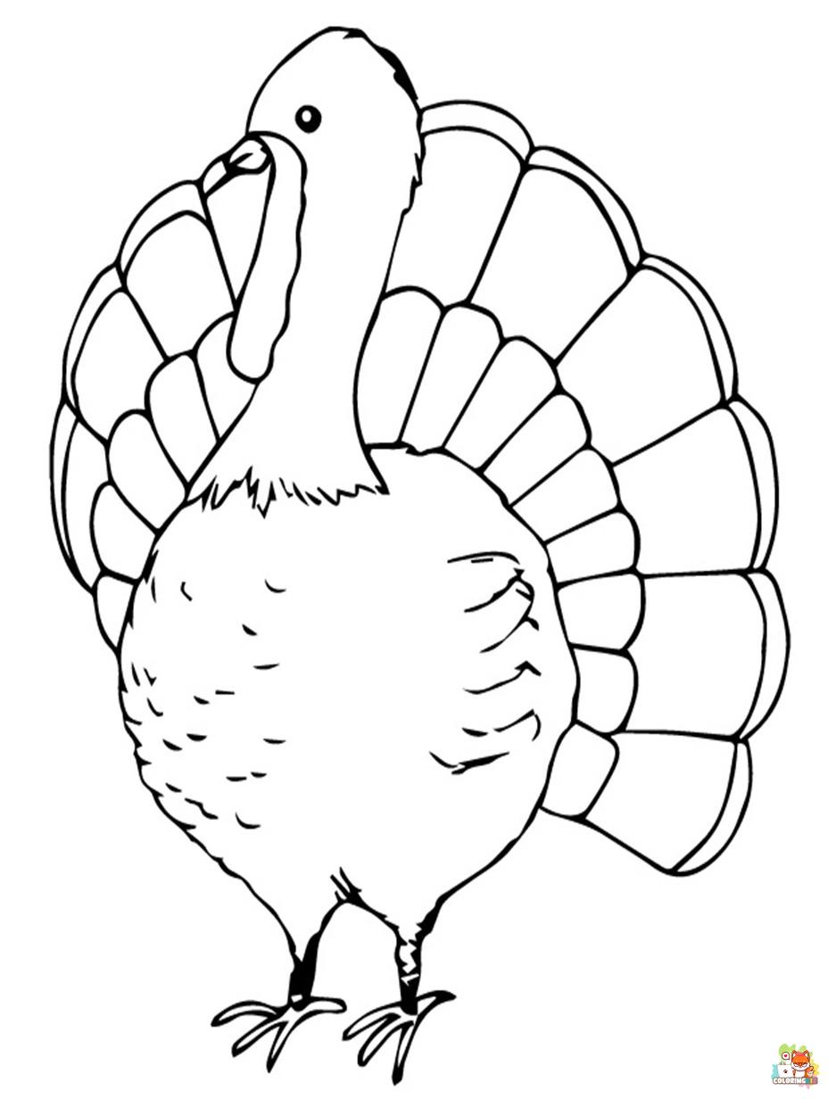 wild turkey coloring pages printable free