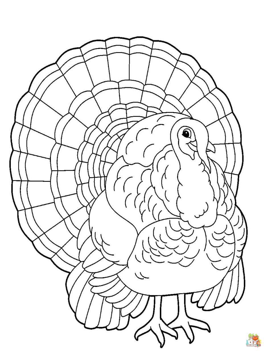wild turkey coloring pages printable
