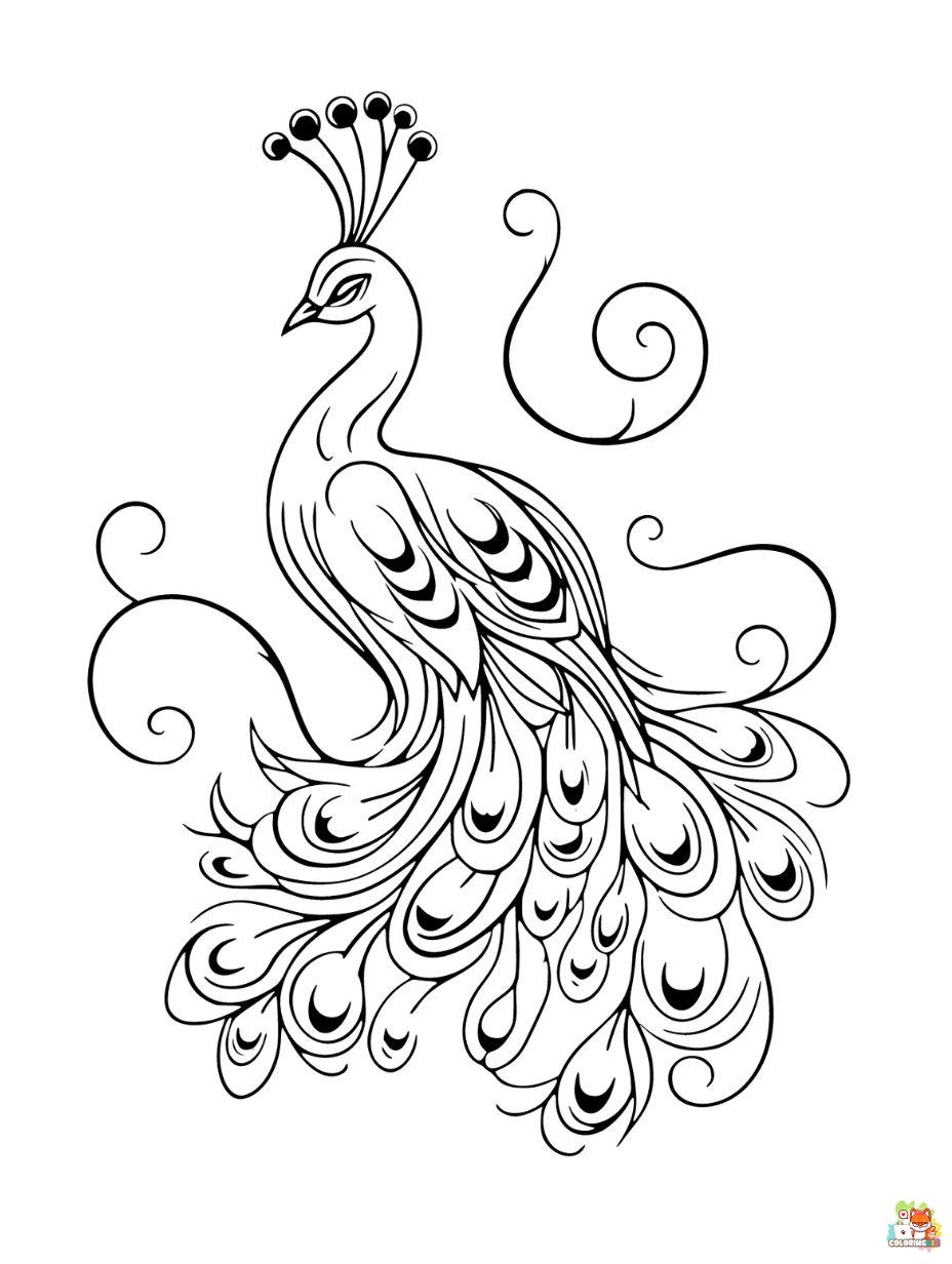 Peacock coloring pages