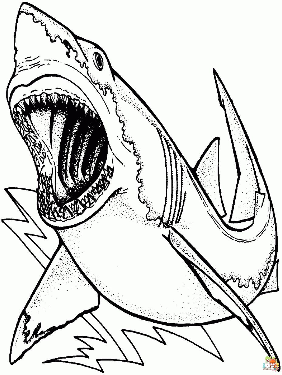 megalodon coloring pages 1